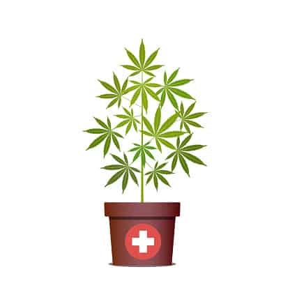 CBD Oil Usa Made Turners Acres Rogers 
      AR